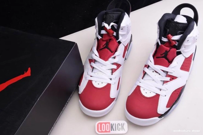 Rep RETRO CT8529-106 6 2021 AIR 'CARMINE' JORDAN 0713